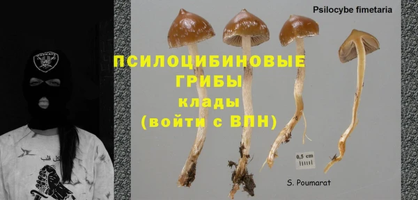 мескалин Абаза