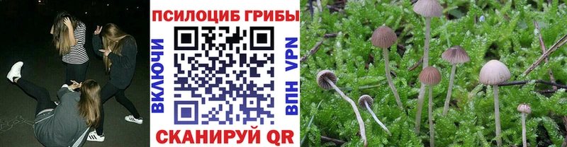 shop формула  наркошоп  Великий Новгород  Псилоцибиновые грибы Psilocybe 